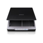 EPSON SCANNER PERFECTION V19